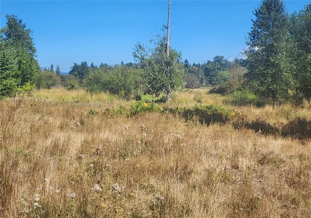 Photo 3 of Land for sale at 31208 Lebor Devore Rd E, Eatonville, WA 98328 | MLS# NWM2571719 | Listing updated on 2026-09-25