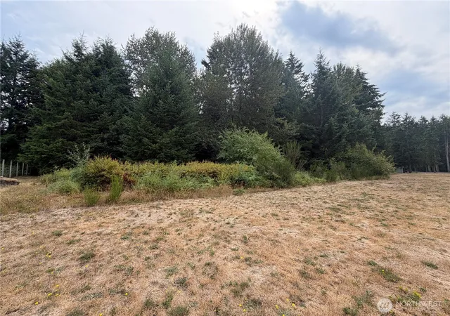 Land for sale at 11000 226Th Ave E, Buckley, WA 98321 | MLS# NWM2571923