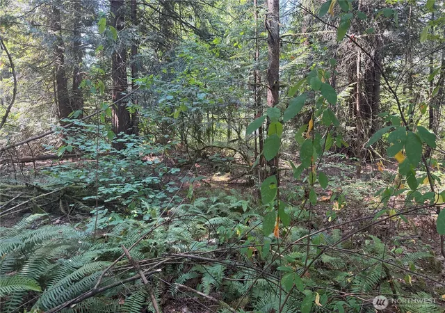 Photo 3 of Land for sale at 11000 226th Ave E, Buckley, WA 98321 | MLS# NWM2571923 | Listing updated on 2026-09-23