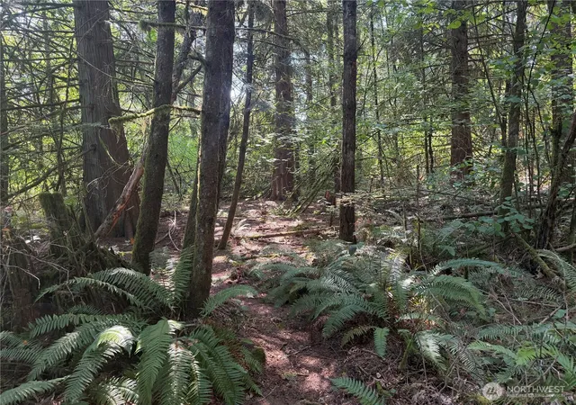 Photo 3 of Land for sale at 11000 226Th Ave E, Buckley, WA 98321 | MLS# NWM2571923 | Listing updated on 2026-09-23