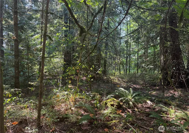 Photo 4 of Land for sale at 11000 226Th Ave E, Buckley, WA 98321 | MLS# NWM2571923 | Listing updated on 2026-09-23