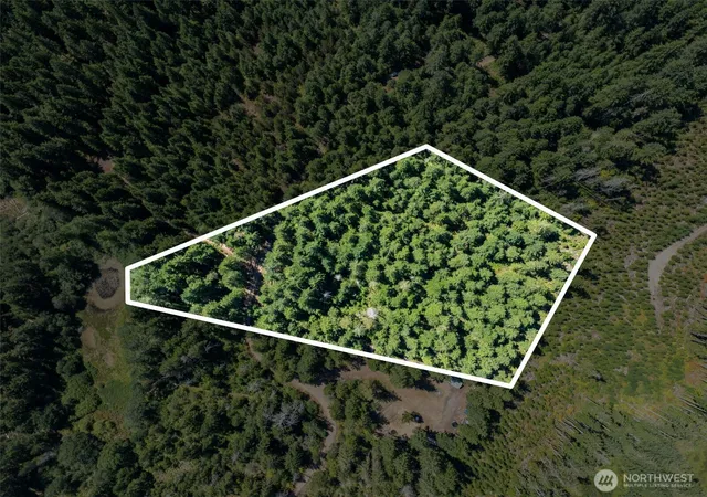 Photo 1 of Land for sale at 2461 W Hanks Lake Rd, Shelton, WA 98584 | MLS# NWM2571940 | Listing updated on 2026-09-23