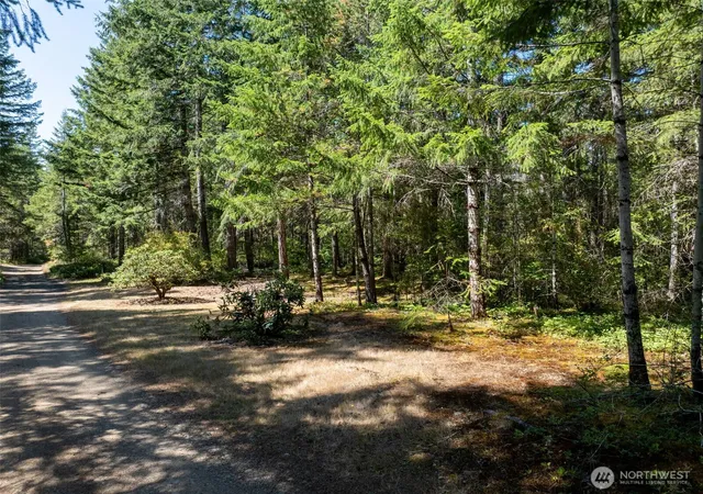 Photo 3 of Land for sale at 2461 W Hanks Lake Rd, Shelton, WA 98584 | MLS# NWM2571940 | Listing updated on 2026-09-23
