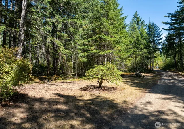 Photo 3 of Land for sale at 2461 W Hanks Lake Rd, Shelton, WA 98584 | MLS# NWM2571940 | Listing updated on 2026-09-23