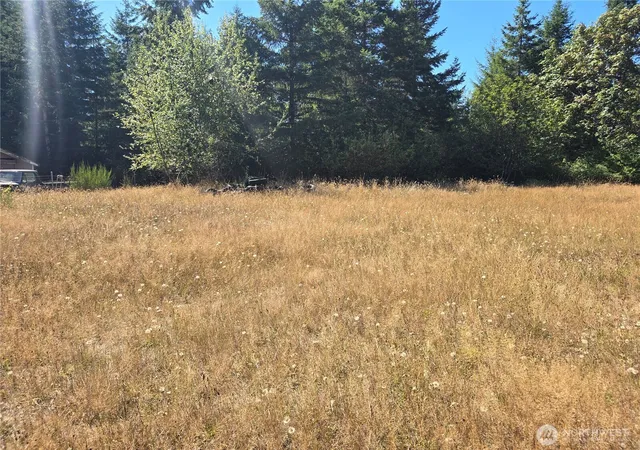 Photo 2 of Land for sale at 100 W Loganberry Ct, Elma, WA 98541 | MLS# NWM2572147 | Listing updated on 2026-09-25
