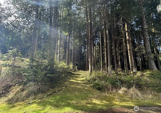 Photo 2 of Land for sale at 44 Robin Ln, Pacific Beach, WA 98571 | MLS# NWM2572327 | Listing updated on 2026-09-28