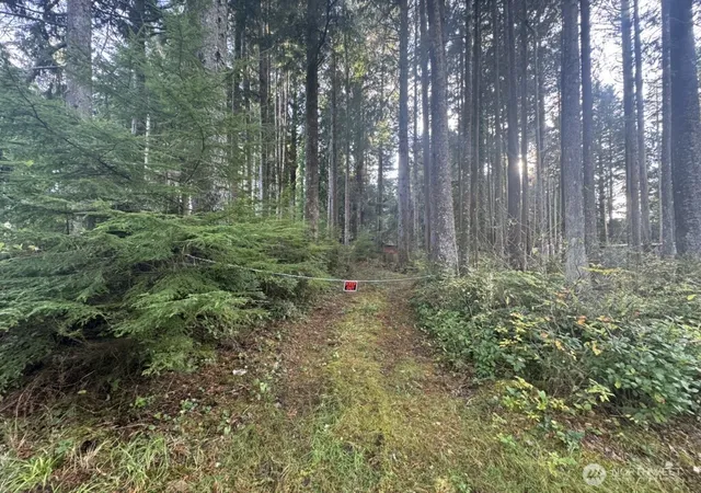 Photo 3 of Land for sale at 44 Robin Ln, Pacific Beach, WA 98571 | MLS# NWM2572327 | Listing updated on 2026-09-28