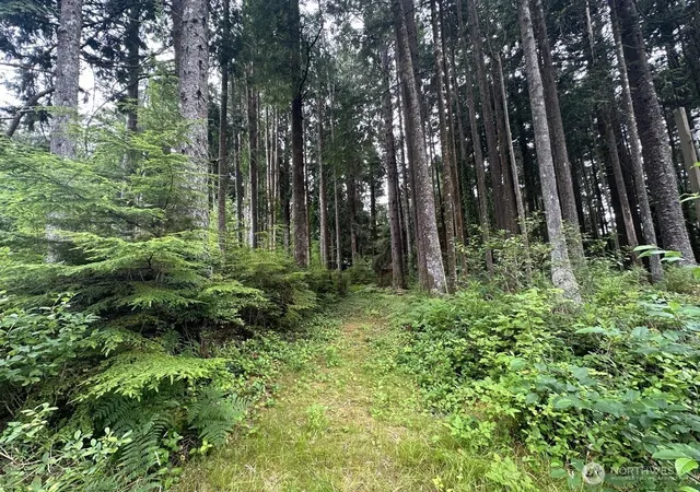Photo 3 of Land for sale at 44 Robin Ln, Pacific Beach, WA 98571 | MLS# NWM2572327 | Listing updated on 2026-09-28