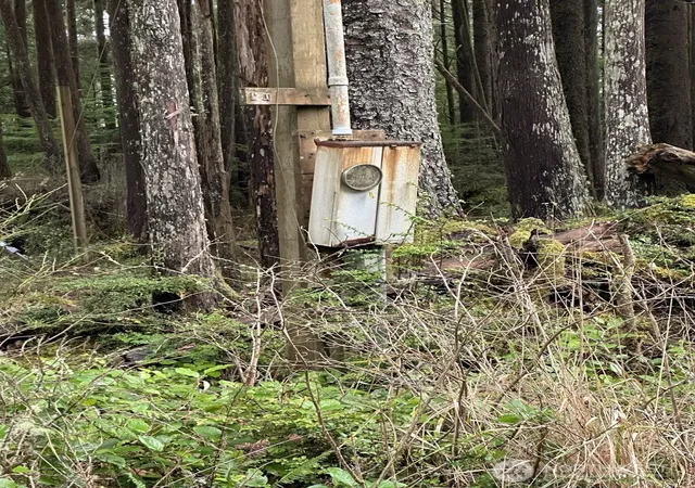 Photo 4 of Land for sale at 44 Robin Ln, Pacific Beach, WA 98571 | MLS# NWM2572327 | Listing updated on 2026-09-28