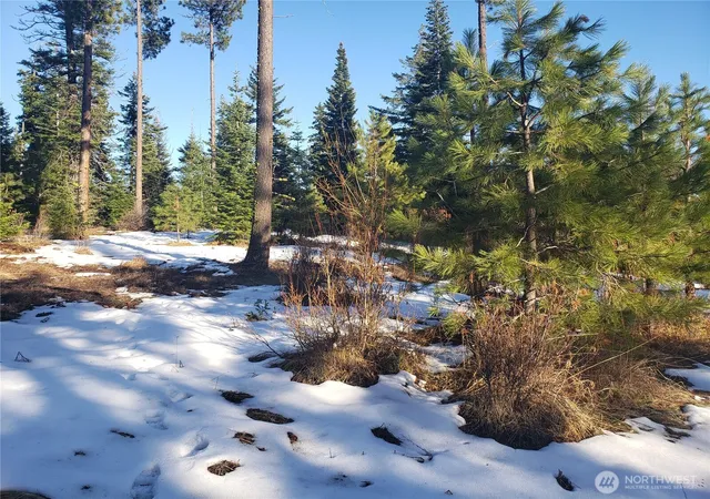 Land for sale at 0 Lot F R&r Hts Dr, Roslyn, WA 98941 | MLS# NWM2572341