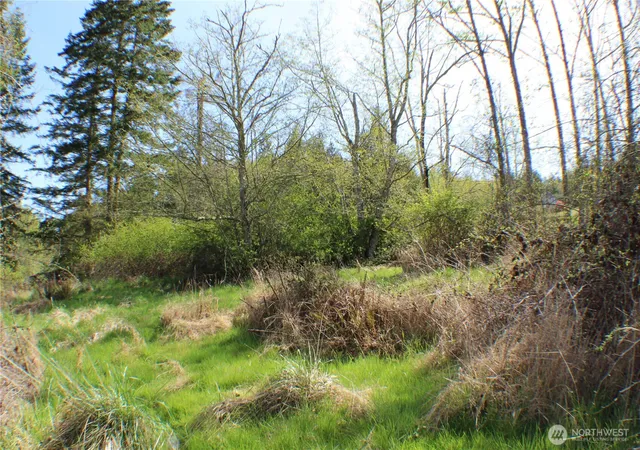 Photo 3 of Land for sale at 999 Oso Vista Ct, Sequim, WA 98382 | MLS# NWM2572429 | Listing updated on 2026-09-25