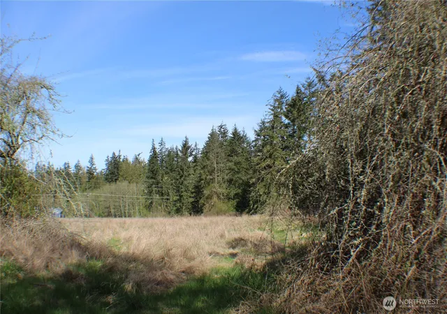 Photo 4 of Land for sale at 999 Oso Vista Ct, Sequim, WA 98382 | MLS# NWM2572429 | Listing updated on 2026-09-25