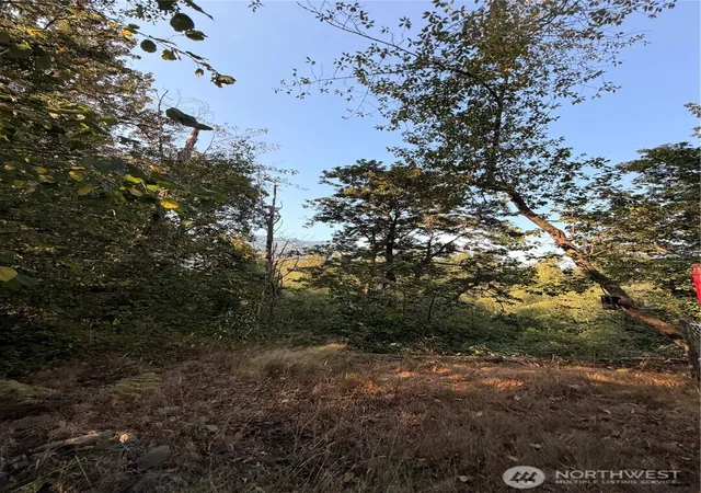 Photo 2 of Land for sale at 15620 Goldbar Dr, Gold Bar, WA 98251 | MLS# NWM2572583 | Listing updated on 2026-09-25