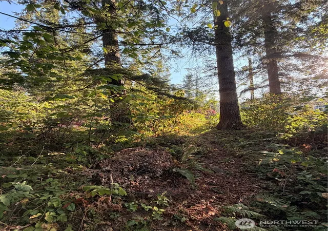 Photo 3 of Land for sale at 15620 Goldbar Dr, Gold Bar, WA 98251 | MLS# NWM2572583 | Listing updated on 2026-09-25
