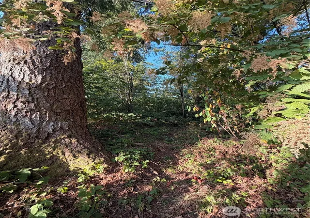 Photo 4 of Land for sale at 15620 Goldbar Dr, Gold Bar, WA 98251 | MLS# NWM2572583 | Listing updated on 2026-09-25