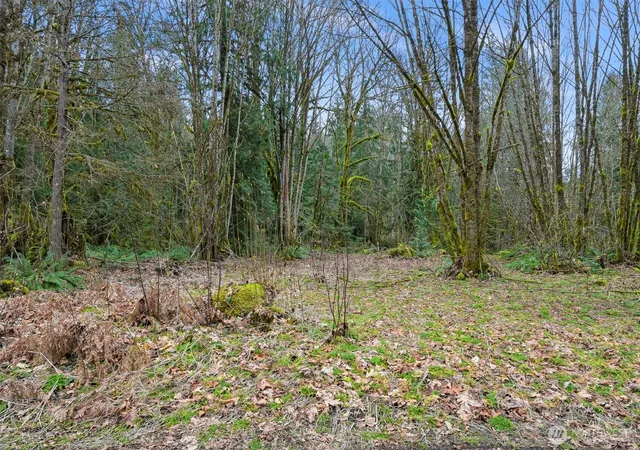 Land for sale at 7738 Maple Dr, Maple Falls, WA 98266 | MLS# NWM2572644