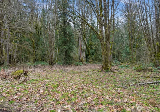 Photo 1 of Land for sale at 7738 Maple Dr, Maple Falls, WA 98266 | MLS# NWM2572644 | Listing updated on 2026-09-22