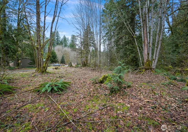 Photo 2 of Land for sale at 7738 Maple Dr, Maple Falls, WA 98266 | MLS# NWM2572644 | Listing updated on 2026-09-22