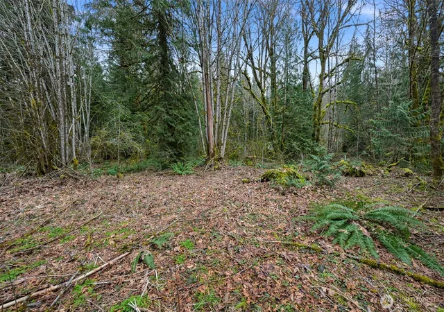 Photo 3 of Land for sale at 7738 Maple Dr, Maple Falls, WA 98266 | MLS# NWM2572644 | Listing updated on 2026-09-22