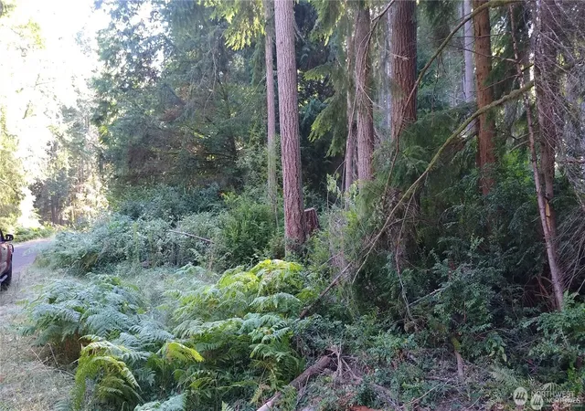 Photo 1 of Land for sale at 12106 Sound Dr, Anderson Island, WA 98303 | MLS# NWM2572665 | Listing updated on 2026-09-25