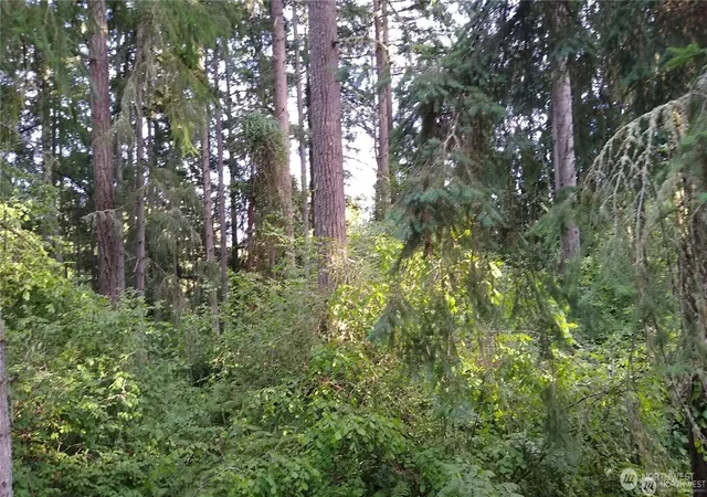 Photo 2 of Land for sale at 12106 Sound Dr, Anderson Island, WA 98303 | MLS# NWM2572665 | Listing updated on 2026-09-25