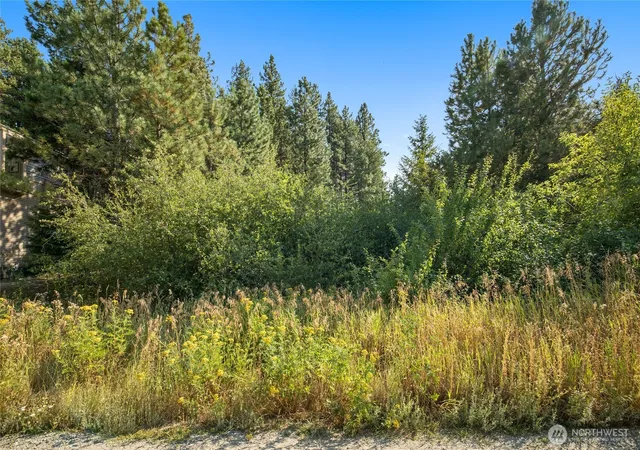 Photo 1 of Land for sale at 0 5Th Street Alley, Roslyn, WA 98941 | MLS# NWM2572684 | Listing updated on 2026-09-25