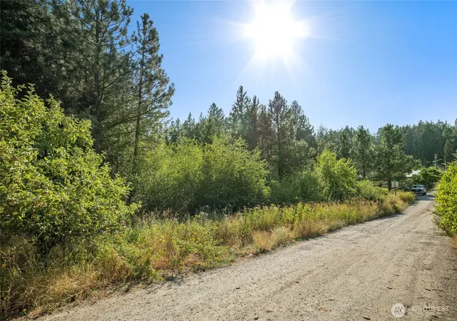 Photo 3 of Land for sale at 0 5Th Street Alley, Roslyn, WA 98941 | MLS# NWM2572684 | Listing updated on 2026-09-25