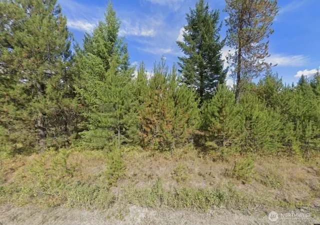 Photo 3 of Land for sale at 2071 Driskill Rd, Newport, WA 99156 | MLS# NWM2572764 | Listing updated on 2026-09-24