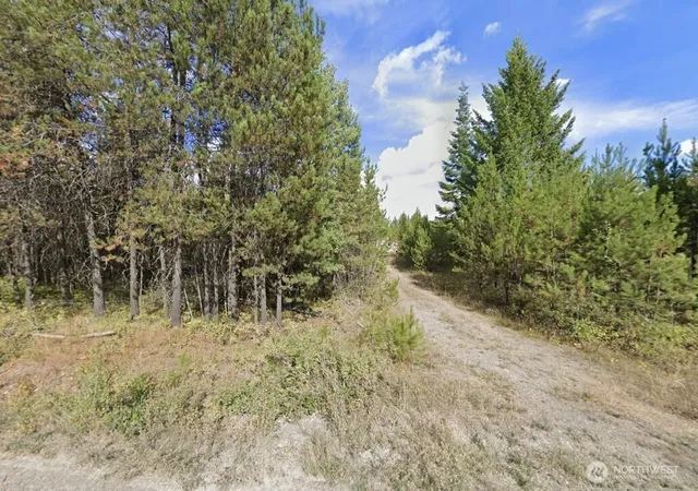 Photo 4 of Land for sale at 2071 Driskill Rd, Newport, WA 99156 | MLS# NWM2572764 | Listing updated on 2026-09-24