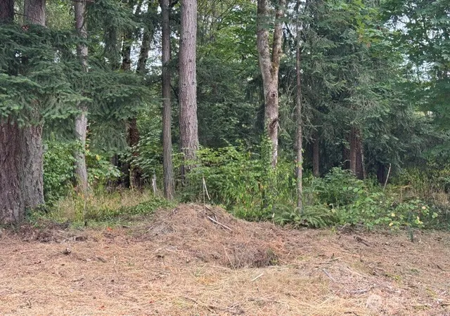 Photo 1 of Land for sale at 36852 52nd Ave S #C-N, Auburn, WA 98001 | MLS# NWM2572867 | Listing updated on 2026-09-25