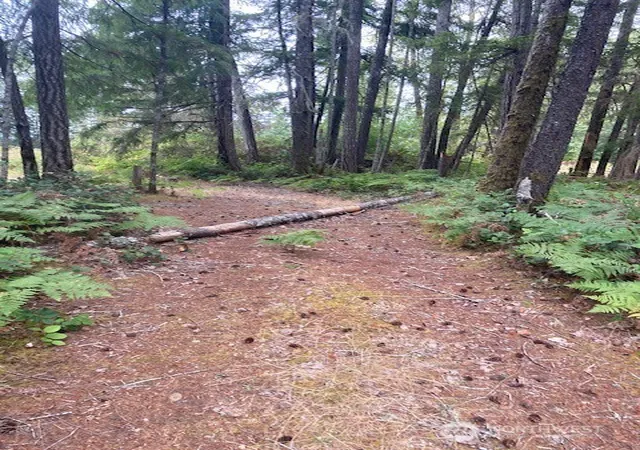 Photo 1 of Land for sale at 31 N Rainbow Wy W, Hoodsport, WA 98548 | MLS# NWM2572927 | Listing updated on 2026-09-25