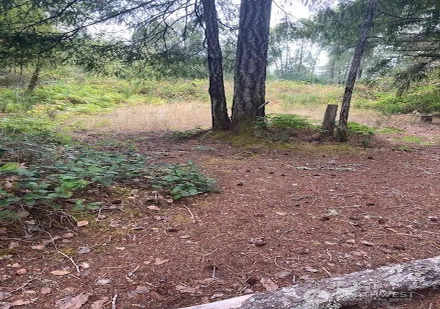 Photo 2 of Land for sale at 31 N Rainbow Wy W, Hoodsport, WA 98548 | MLS# NWM2572927 | Listing updated on 2026-09-25