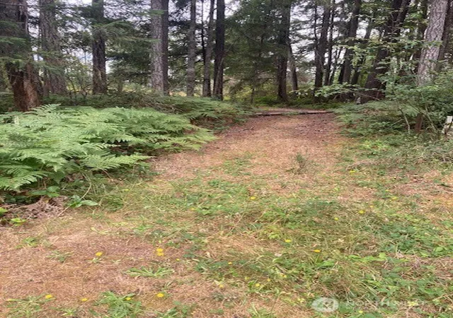 Photo 3 of Land for sale at 31 N Rainbow Wy W, Hoodsport, WA 98548 | MLS# NWM2572927 | Listing updated on 2026-09-25