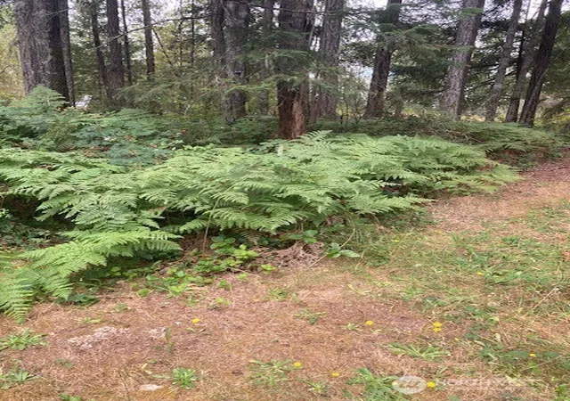Photo 4 of Land for sale at 31 N Rainbow Wy W, Hoodsport, WA 98548 | MLS# NWM2572927 | Listing updated on 2026-09-25