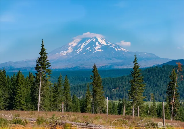 Photo 3 of Land for sale at 0 Little Mountain Rd, Trout Lake, WA 98650 | MLS# NWM2572937 | Listing updated on 2026-09-25