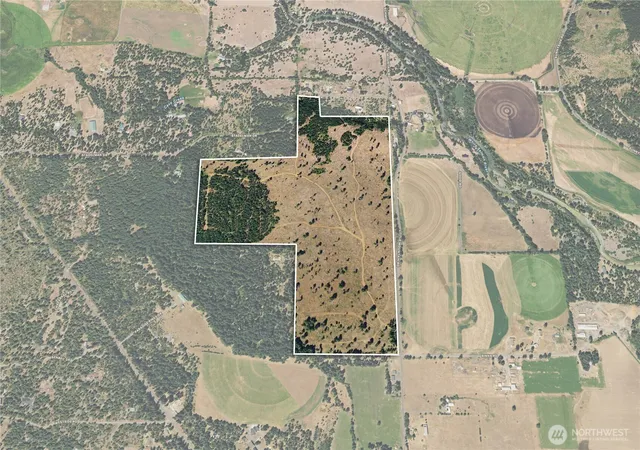 Photo 4 of Land for sale at 0 Little Mountain Rd, Trout Lake, WA 98650 | MLS# NWM2572937 | Listing updated on 2026-09-25