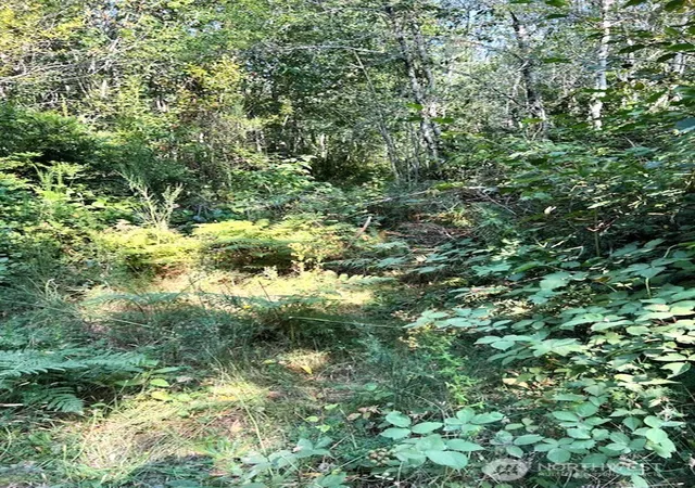 Photo 2 of Land for sale at 1209 196th Ave Nw, Lakebay, WA 98349 | MLS# NWM2573080 | Listing updated on 2026-09-22
