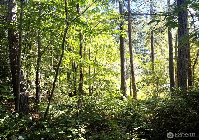 Photo 1 of Land for sale at 0 Oak St, Quilcene, WA 98376 | MLS# NWM2573145 | Listing updated on 2026-09-25