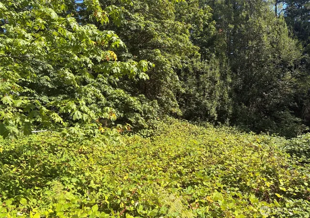 Photo 3 of Land for sale at 0 Oak St, Quilcene, WA 98376 | MLS# NWM2573145 | Listing updated on 2026-09-25