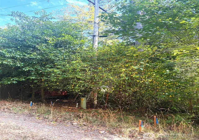 Photo 3 of Land for sale at 0 Oak St, Quilcene, WA 98376 | MLS# NWM2573145 | Listing updated on 2026-09-25