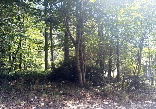 Photo 4 of Land for sale at 0 Oak St, Quilcene, WA 98376 | MLS# NWM2573145 | Listing updated on 2026-09-25