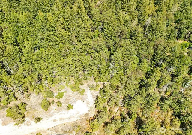 Photo 3 of Land for sale at 6982 Cape George Rd, Port Townsend, WA 98368 | MLS# NWM2573213 | Listing updated on 2026-09-25