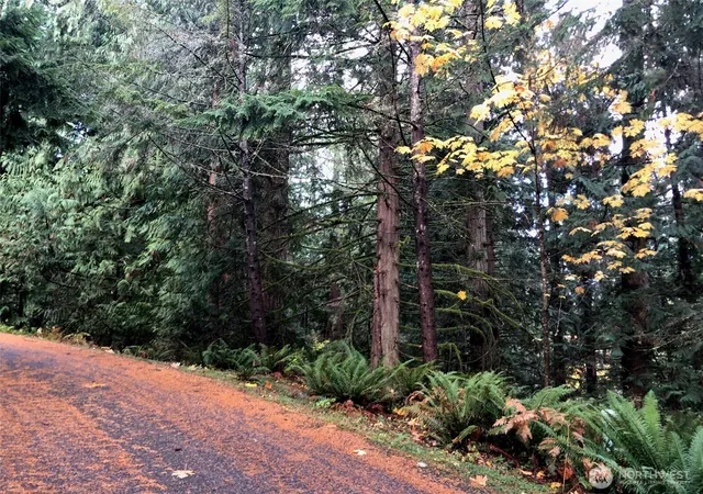 Photo 1 of Sale Pending at 15 Wintercress Wy, Bellingham, WA 98229 | MLS# NWM2573312 | Listing updated on 2026-09-22