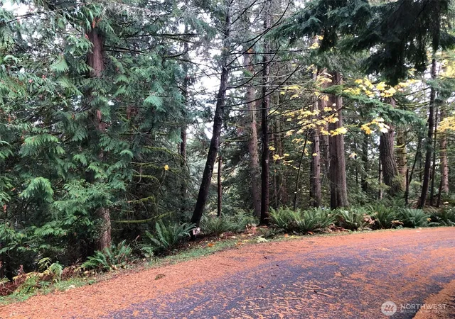 Photo 2 of Sale Pending at 15 Wintercress Wy, Bellingham, WA 98229 | MLS# NWM2573312 | Listing updated on 2026-09-22