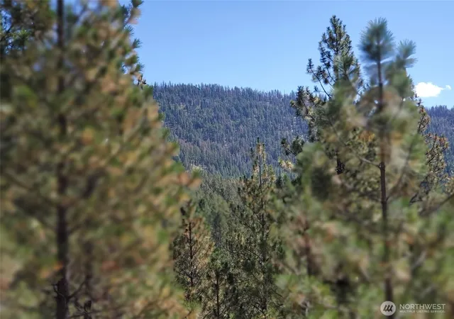 Photo 1 of Land for sale at 0 Long Horn Trail, Riverside, WA 98849 | MLS# NWM2573340 | Listing updated on 2026-09-25