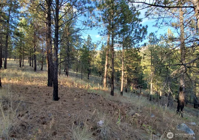 Photo 3 of Land for sale at 0 Long Horn Trail, Riverside, WA 98849 | MLS# NWM2573340 | Listing updated on 2026-09-25