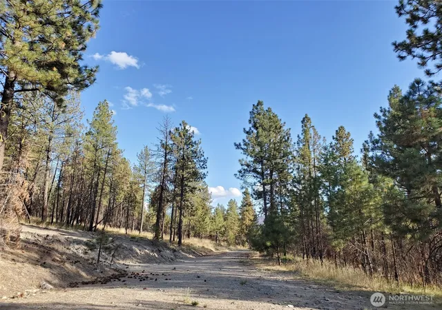Photo 4 of Land for sale at 0 Long Horn Trail, Riverside, WA 98849 | MLS# NWM2573340 | Listing updated on 2026-09-25