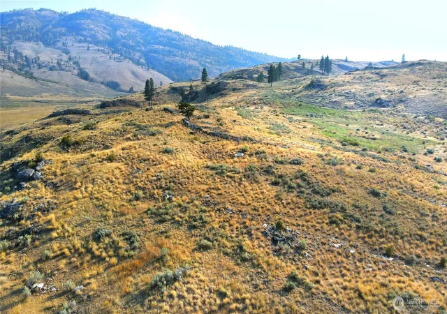 Photo 3 of Land for sale at 0 Xx Mclaughlin Cyn Rd, Tonasket, WA 98855 | MLS# NWM2573369 | Listing updated on 2026-09-23