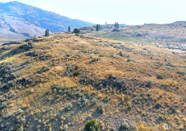 Photo 3 of Land for sale at 0 Xx Mclaughlin Cyn Rd, Tonasket, WA 98855 | MLS# NWM2573369 | Listing updated on 2026-09-23