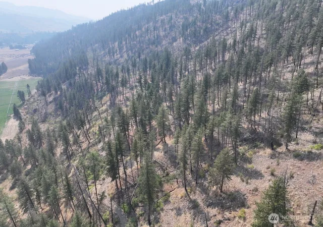 Land for sale at 0 Gold Creek Loop Rd, Carlton, WA 98814 | MLS# NWM2573412